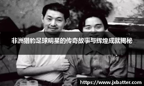 非洲猎豹足球明星的传奇故事与辉煌成就揭秘